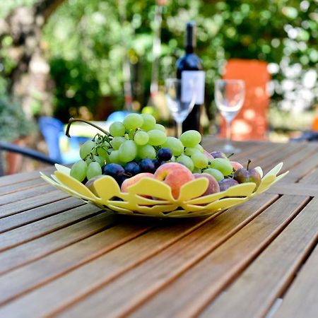 Mihaela Apartment Задар Екстериор снимка